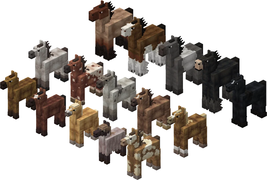 All fifteen breeds lined up